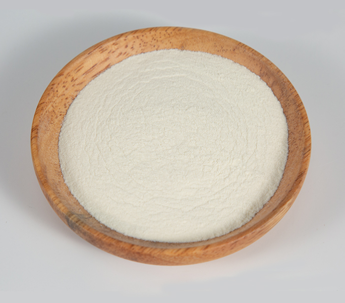 probiotic 보충제를 가져 가야합니까?