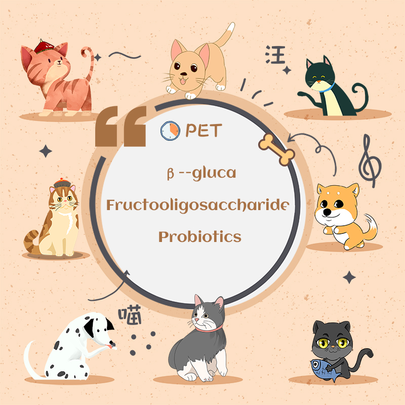 피드 등급 종양 멀티 슈린 프로 바이오 틱스 Probiotic 파우더